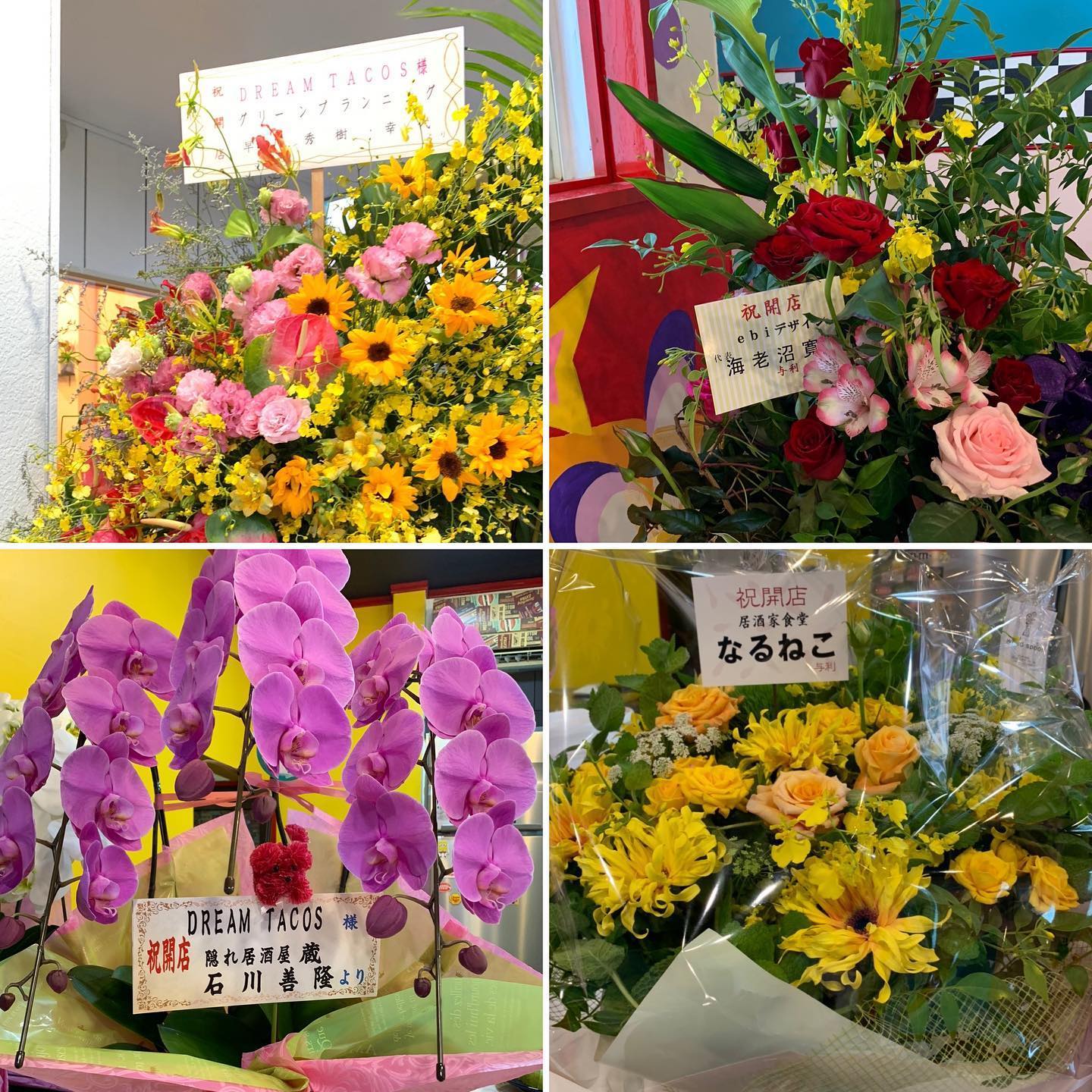 素敵な御祝いありがとうございました♡
無事オープンする事ができてとても嬉しいです！

初日から沢山のお客様に御来店頂きとても感謝しております。
一生懸命がんばりますのでこれからもDREAM TACOSをよろしくお願い致します。