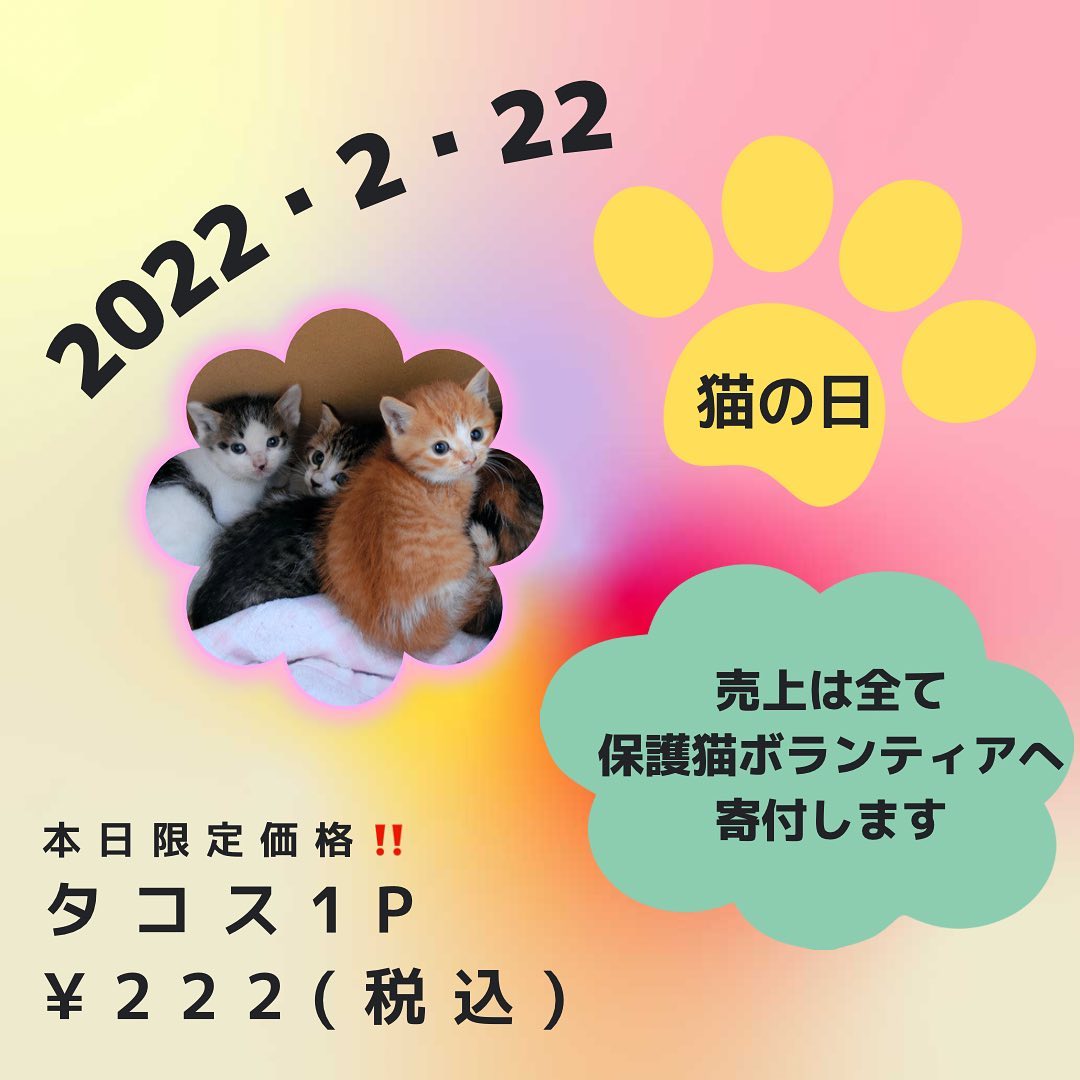 ・
・
2022年2月22日

猫の日限定価格️

通常300円+税のところ
↓↓↓
税込 222 円で販売致します︎

売上は全て保護猫ボランティアさんへ寄付します。

レジ横に保護猫募金箱が設置してあります。
募金して下さる方を見るたび心が温かくなります。
本当に感謝しております。

物資寄付もお預かりしています。
・ペットシーツ
・キャットフード
・トイレの砂
・未使用タオル
などありましたら宜しくお願いします。

🐈‍3/27(日) 第2回保護猫ボランティア支援チャリティーイベント『にゃん活マルシェ』開催予定です

#猫の日　 
#保護猫　