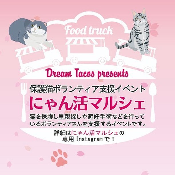 ・
・
明日は保護猫ボランティア支援イベント🐈‍
第2回にゃん活マルシェの開催です

チラシの配布、設置、宣伝にご協力頂きました皆様ありがとうございました！
心から感謝致します。

受付に募金箱設置します。
募金をしてくれた方へ先着100名様に犬のおもちゃ、猫のポストカードプレゼント

物資寄付のお願い🤲
・ペットシーツ
・キャットフード
・未使用タオル
・猫のトイレ砂
よろしくお願いします🥺

猫が大好きなとっても優しい素敵な出店者様ばかりです。
皆様のご来場心よりお待ちしております。