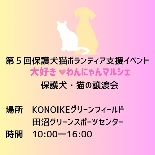 ・
・
・
譲渡会に参加の保護犬・猫ちゃん達です♡

1匹でも多く家族が見つかる事を願ってます。

美味しい飲食店、可愛いハンドメイドや雑貨、ポニーが来てくれたりHONDA車の展示、ふわふわ遊具など楽しめるイベントになっています。

売上の一部は保護犬・猫の医療費やごはん代になります。
少しでも多く寄付出来るよう出店者一同がんばりますのでよろしくお願い致します‍♀️

皆様お誘い合わせの上ご来場下さい♪
お待ちしております‍♀️